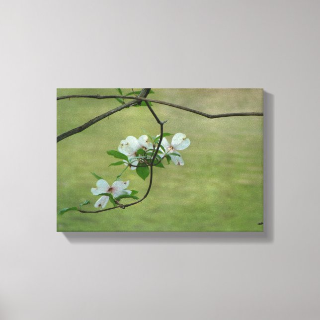 Dogwood-Wandkunst Leinwanddruck (Vorderseite)