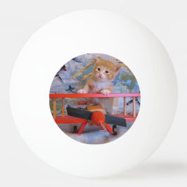 Dolce Airplane Pilot - Kitten / Cat Ping Pong Ball Tischtennisball