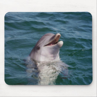 Dolfin Mousepad
