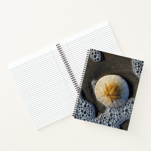 Dollar de sable et Surf de plage Photo Carnet 8x11 (Intérieur)