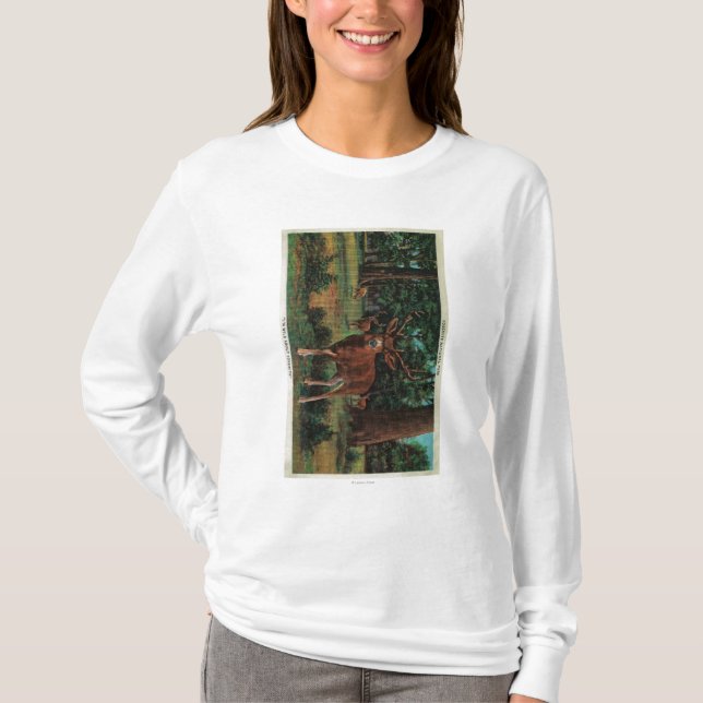 Dollar-Rotwild an Yosemite Nationalpark T-Shirt (Vorderseite)