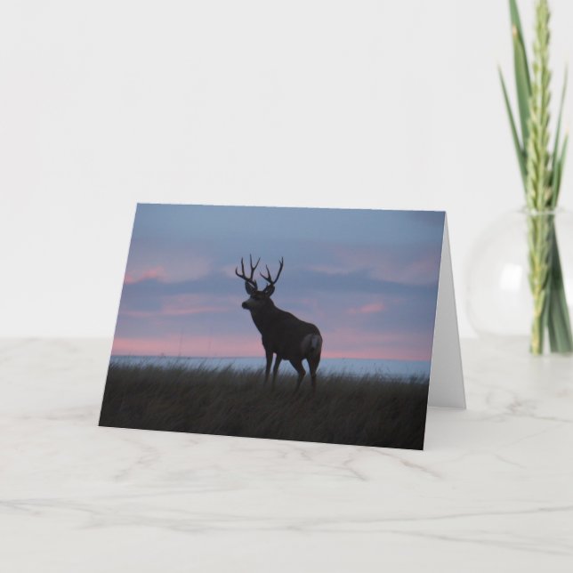Dollar-Sonnenaufgang-Dollar des Maultierhirsch-D3 Karte (Vorderseite)