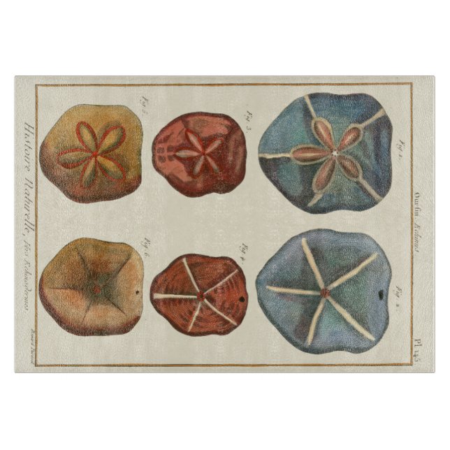 Dollars-Edelsteine Schneidebrett (Vorderseite)