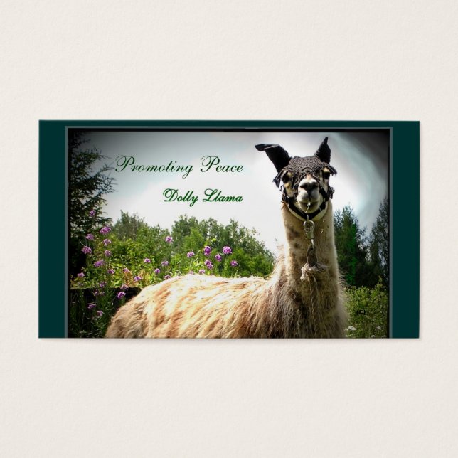 Dolly Llama Business Cards (Vorderseite)