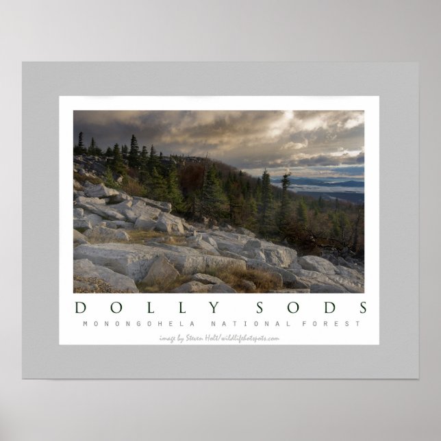 Dolly Sods Wilderness in West Virginia Poster (Vorne)