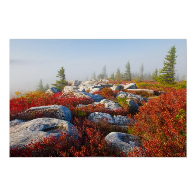 Dolly Sods Wilderness wird mit Nebel Landschaftlic Poster (Vorderseite)