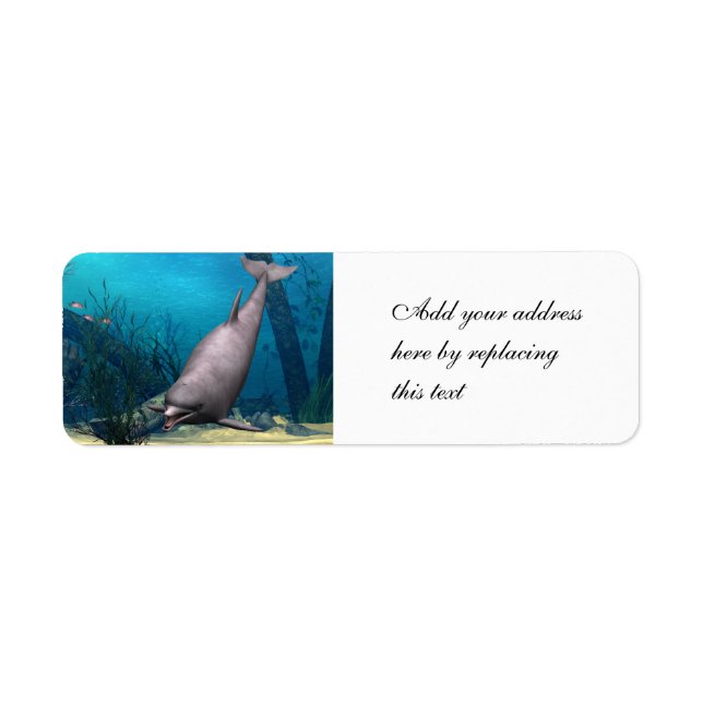 Dolphin (Vorne)