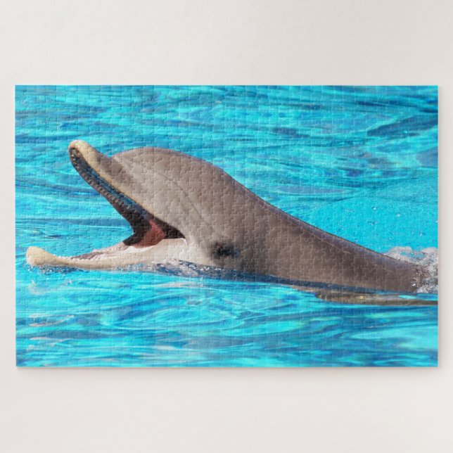 Dolphin (Horizontal)