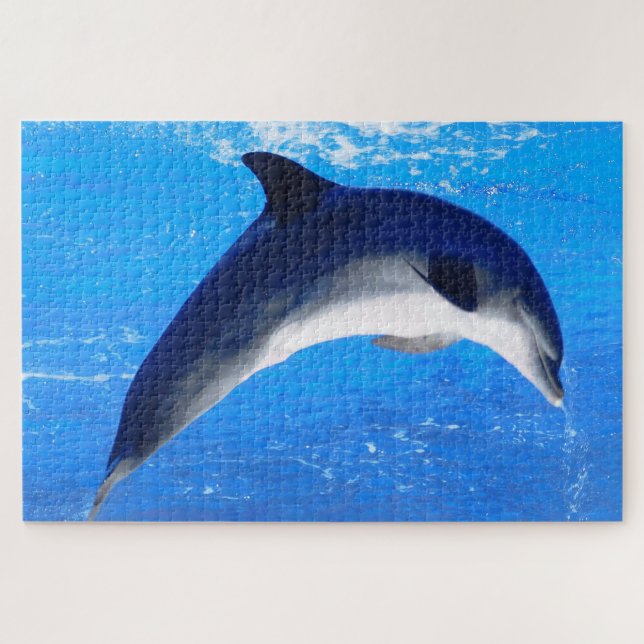 Dolphin (Horizontal)