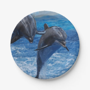 dolphin-104.jpg pappteller
