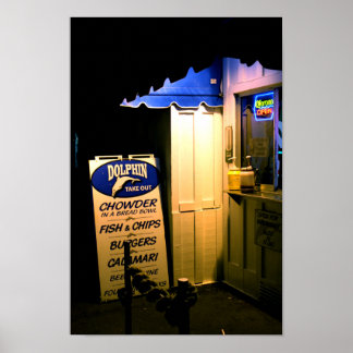 Dolphin-Abfahrt bei Nacht in Santa Cruz Poster