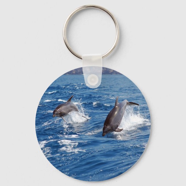 Dolphin Adventure Schlüsselanhänger (Vorderseite)