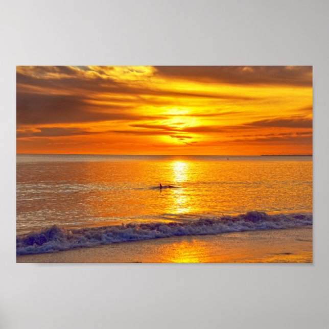 Dolphin at Sunset, Fort Myers Beach, Florida Poster (Vorne)