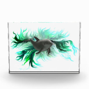 Dolphin Baby Fotoblock