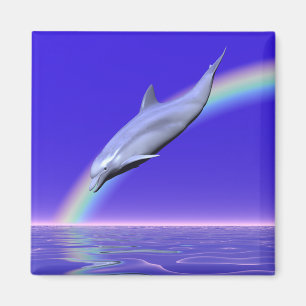 Dolphin-Download Magnet
