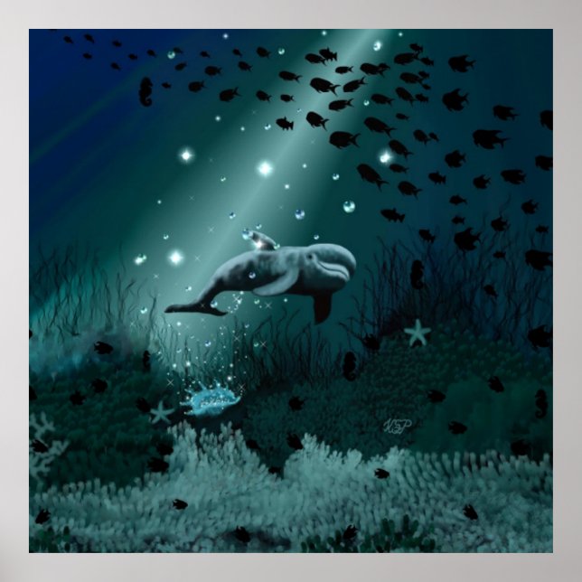 Dolphin Dream Poster (Vorne)