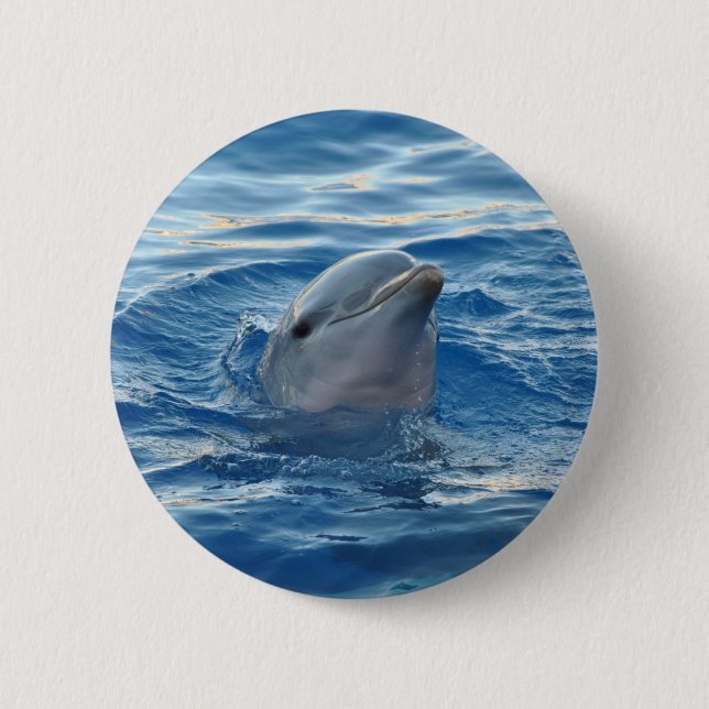 Dolphin Face im Niedlichen Foto im Ozean Button (Vorderseite)