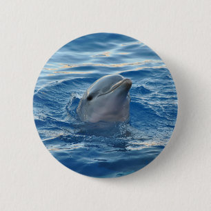 Dolphin Face im Niedlichen Foto im Ozean Button