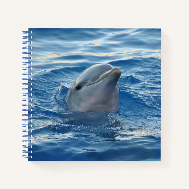 Dolphin Face in Ocean Cute Photo Notizbuch (Vorderseite)