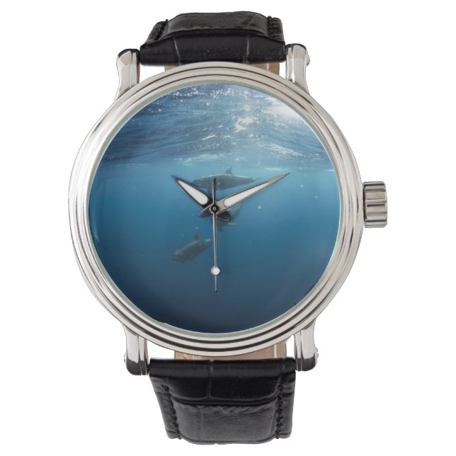 Dolphin-Familie Armbanduhr (Vorderseite)