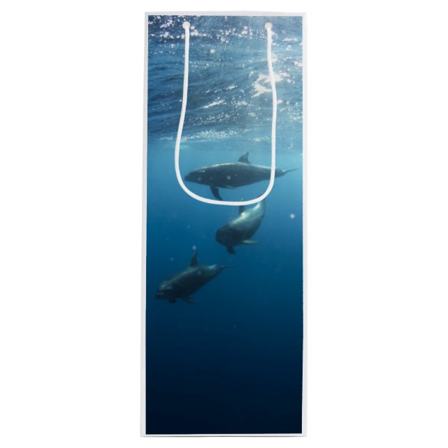 Dolphin-Familie Geschenktüte Für Weinflaschen (Vorderseite)