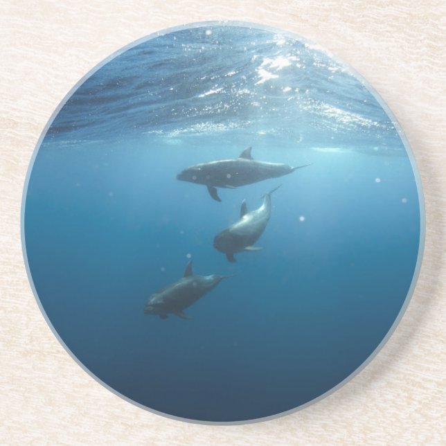 Dolphin-Familie Getränkeuntersetzer (Vorne)