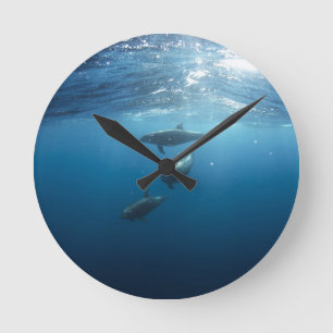 Dolphin Family Underwater Runde Wanduhr