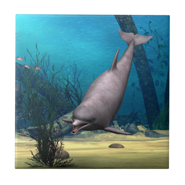 Dolphin Fliese (Vorderseite)
