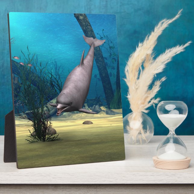 Dolphin Fotoplatte (Seite)