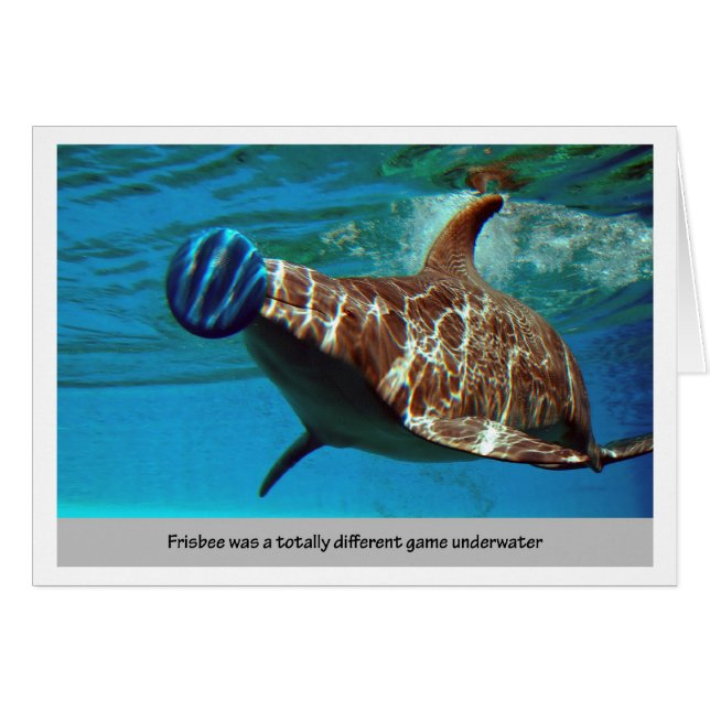 Dolphin Frisbee (Vorderseite (Horizontal))