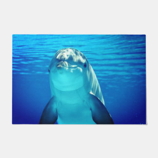 Dolphin Fußmatte