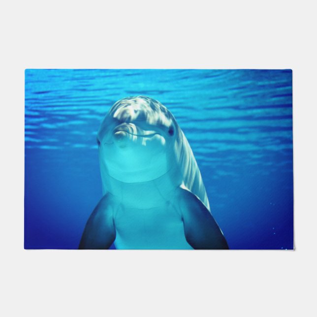 Dolphin Fußmatte (Vorderseite)