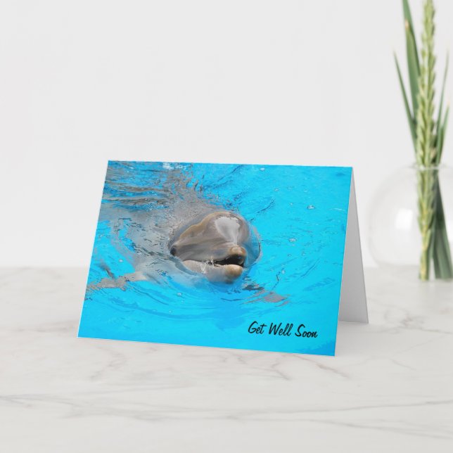Dolphin Get Well Card Karte (Vorderseite)