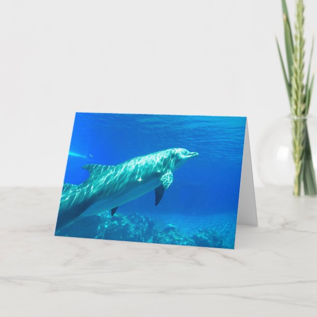 Dolphin-Grußkarte Dankeskarte (Vorderseite)