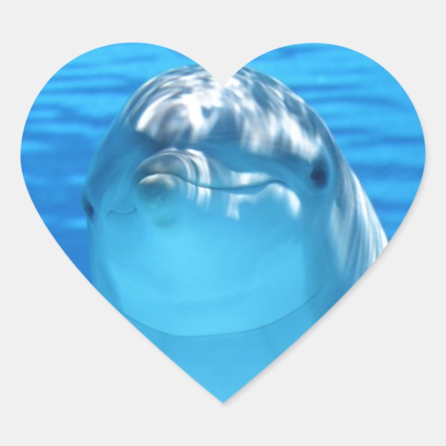 Dolphin Herz-Aufkleber (Vorderseite)