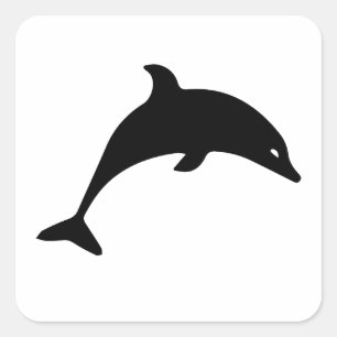 Dolphin Illustration Quadratischer Aufkleber
