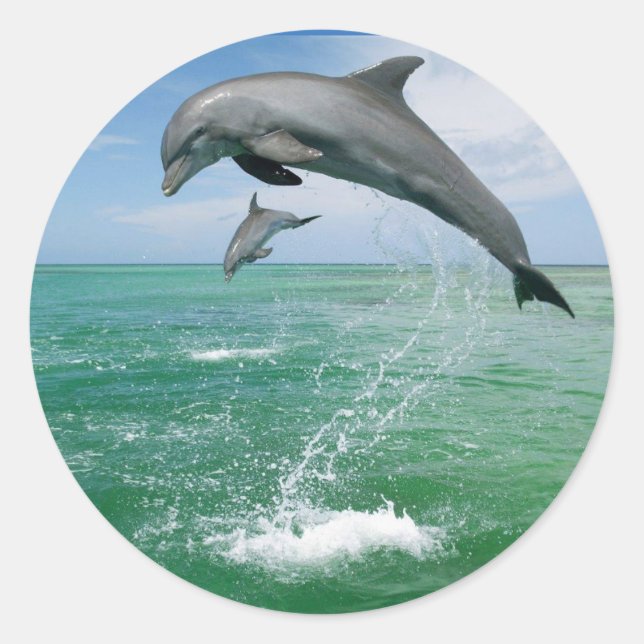 Dolphin im wilden Springen und Spielen Runder Aufkleber (Vorderseite)