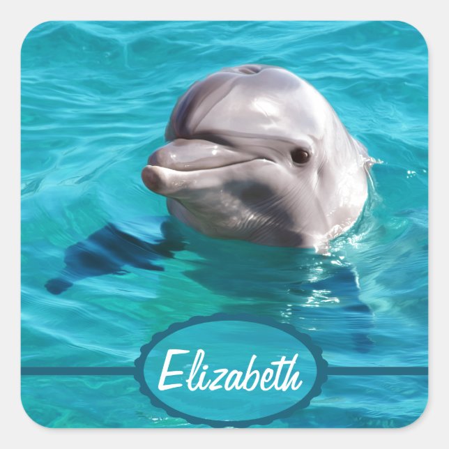 Dolphin in Blue Water Foto Quadratischer Aufkleber (Vorderseite)