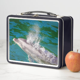 Dolphin in Milford Sound, Neuseeland Metall Brotdose