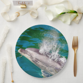 Dolphin in Milford Sound, Neuseeland Pappteller