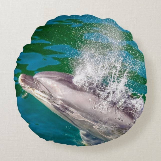 Dolphin in Milford Sound, Neuseeland Rundes Kissen (Vorderseite)