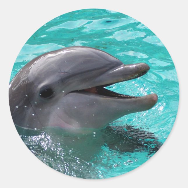 Dolphin Kopf in Wasser Runder Aufkleber (Vorderseite)