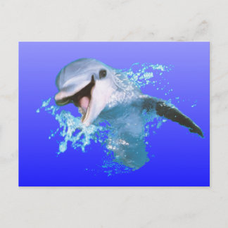 Dolphin Lächeln Postkarte