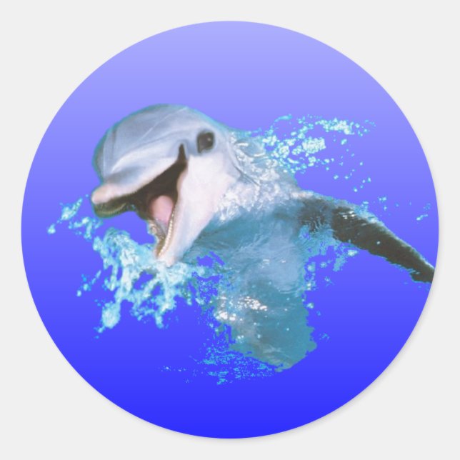 Dolphin Lächeln Runder Aufkleber (Vorderseite)
