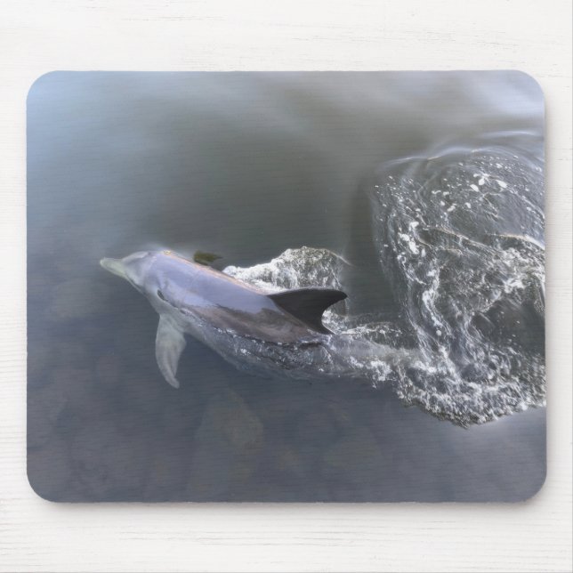 Dolphin Mousepad (Vorne)