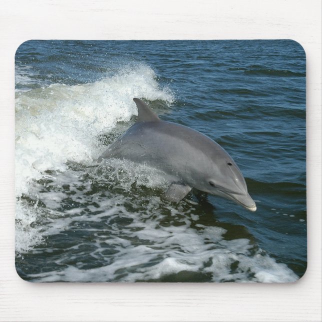 Dolphin Mousepad (Vorne)