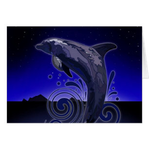 Dolphin - Nacht