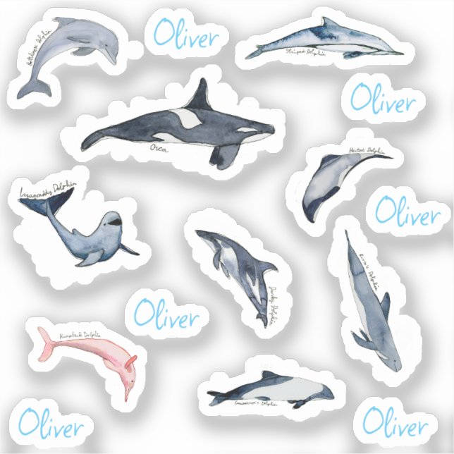 Dolphin Orca Aquarell zeichnend personalisierter N Aufkleber (Vorderseite)