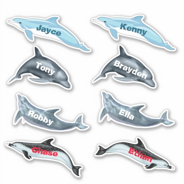 Dolphin-Party-Aufkleber mit Namen Aufkleber (Vorderseite)