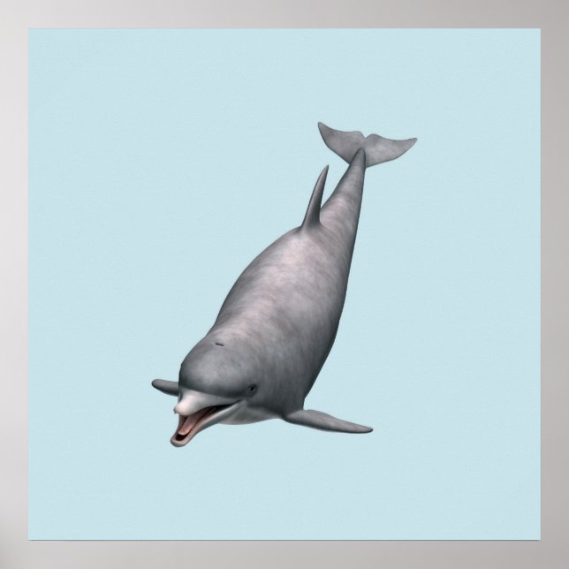 Dolphin Poster (Vorne)
